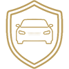 Full Vehicle Paint Protection icon