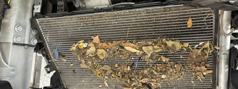 Leaves and road debris blocking an automotive A/C radiator on a Tesla Model 3